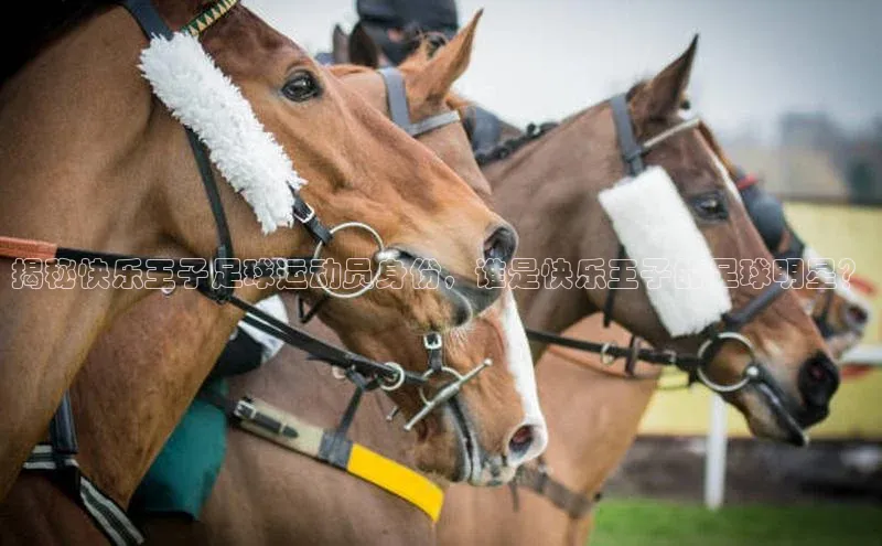 bet·365官网登录入口京东