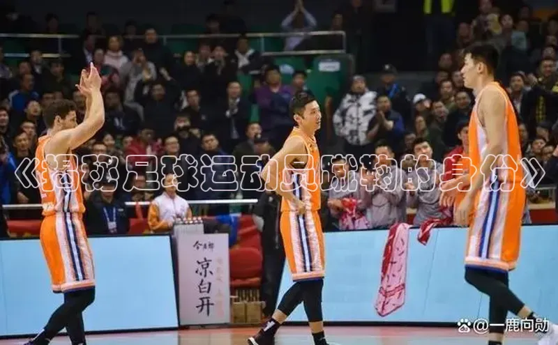 beat365在线官网登录入口巴美列捷福