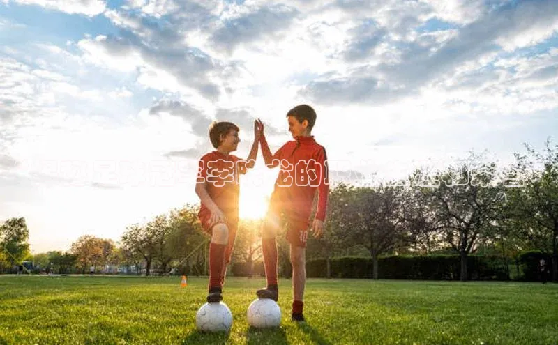 bet·365官网登录入口如流