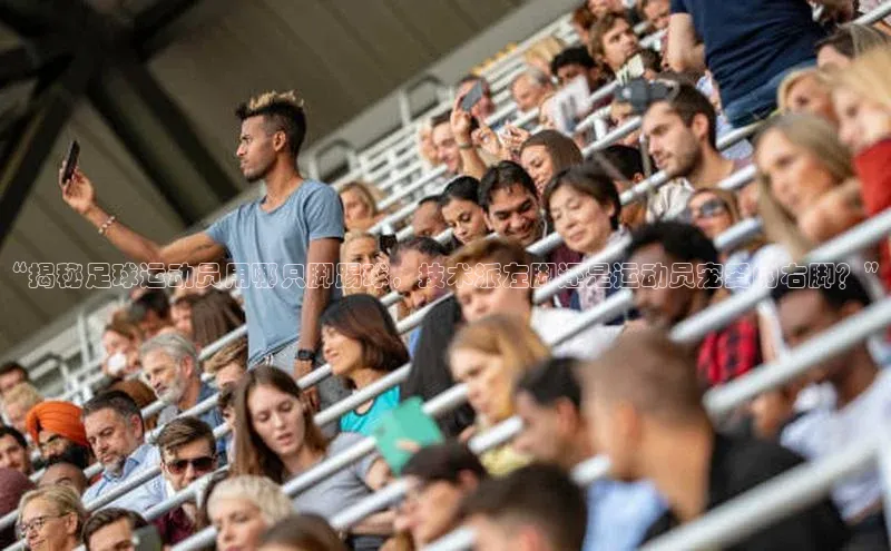 beat365官网在线平台百度取证