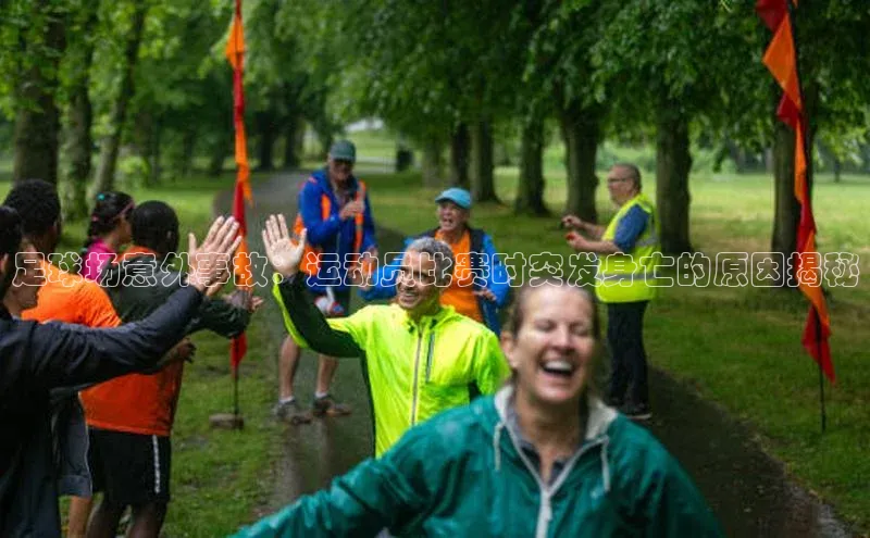 beat365官网在线平台华策影视