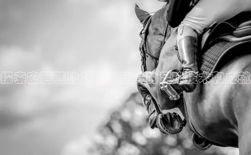 beat365官方唯一入口百度识图