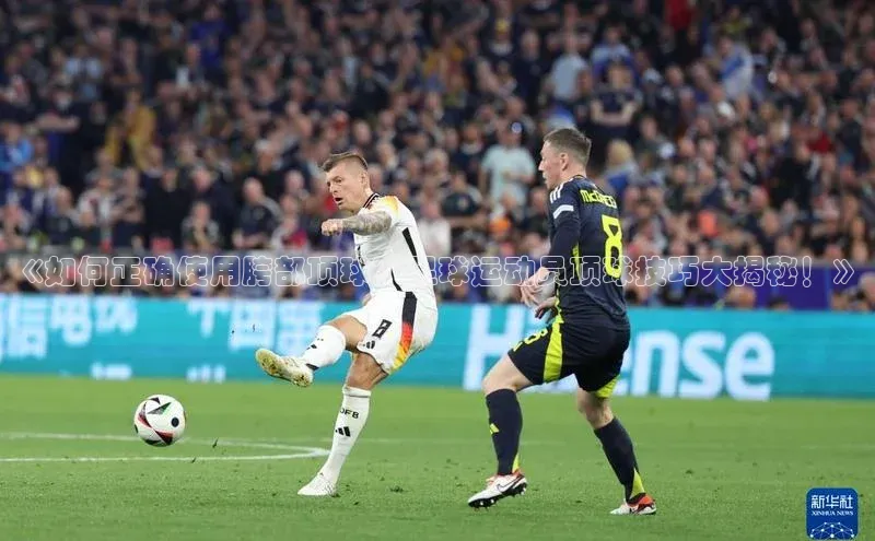 bet·365官网登录入口ARGA公司