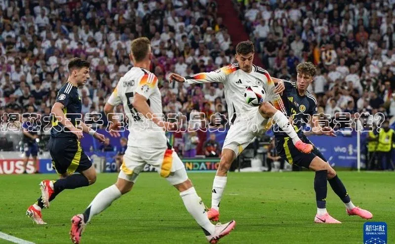 beat365官网 网页版字节跳动