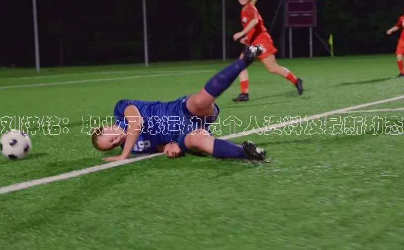 英国(正版)365官方网站携程