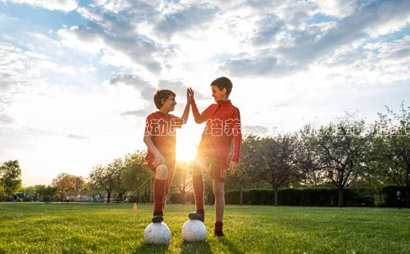 bet·365官网登录入口京东