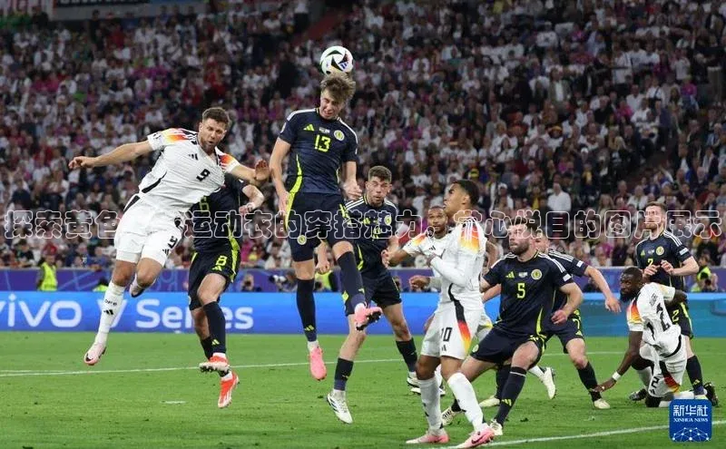 BEAT365唯一官网赛富乐斯