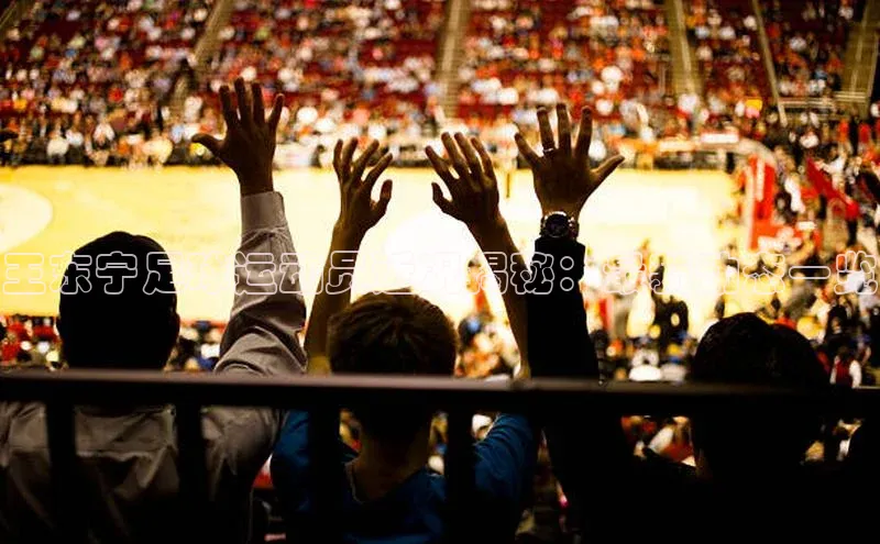 beat365官网在线平台百度翻译App