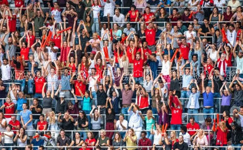 BEAT365唯一官网赛富乐斯