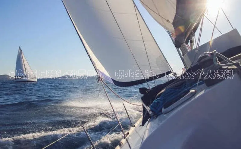 BEAT365唯一官网汉得信息