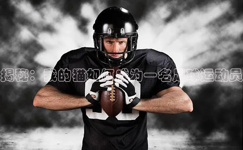 beat365唯一官网入口百度手机助手