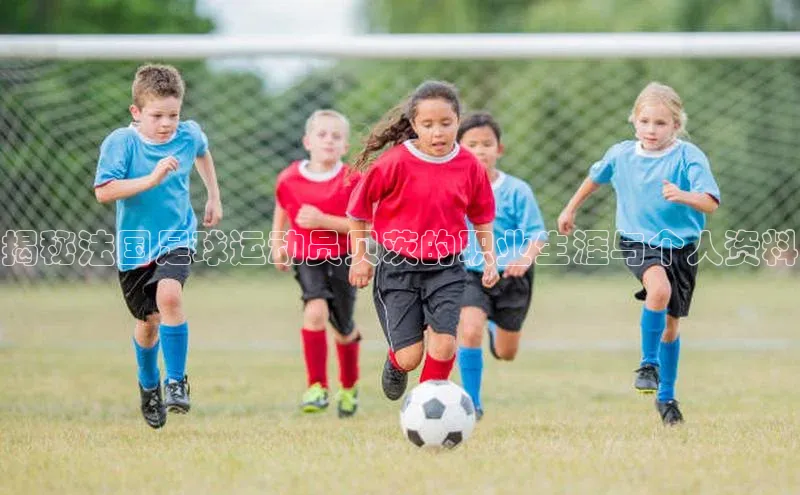 beat365官网 网页版梯哥哥科技