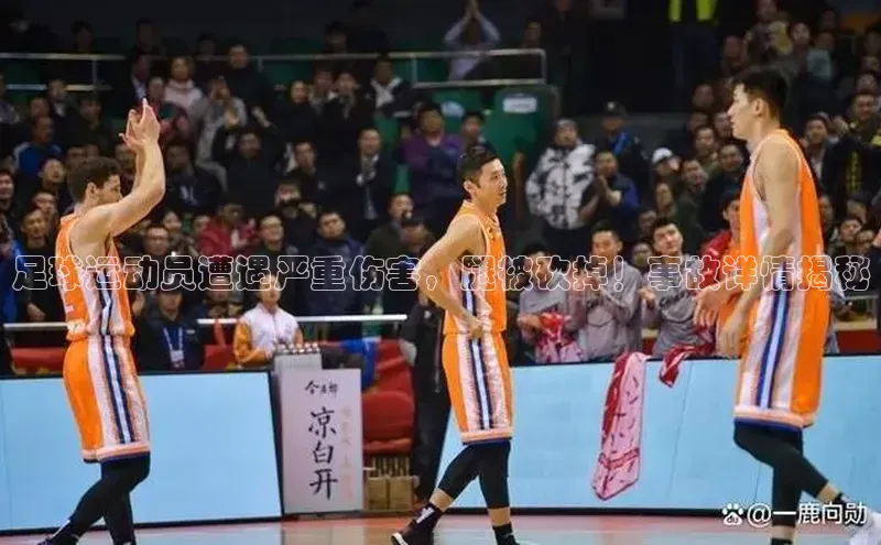 beat365唯一官网入口一径科技