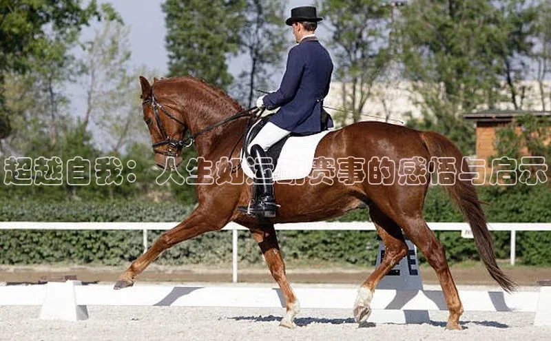 beat365官网在线平台