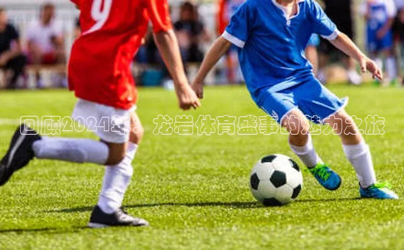回顾2024年：龙岩体育盛事的魅力之旅